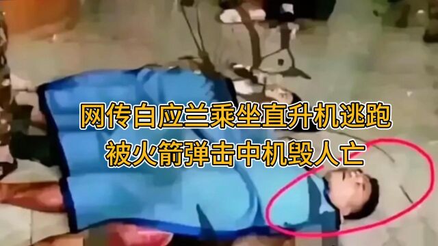 白应兰乘坐直升机逃跑,被火箭弹击中