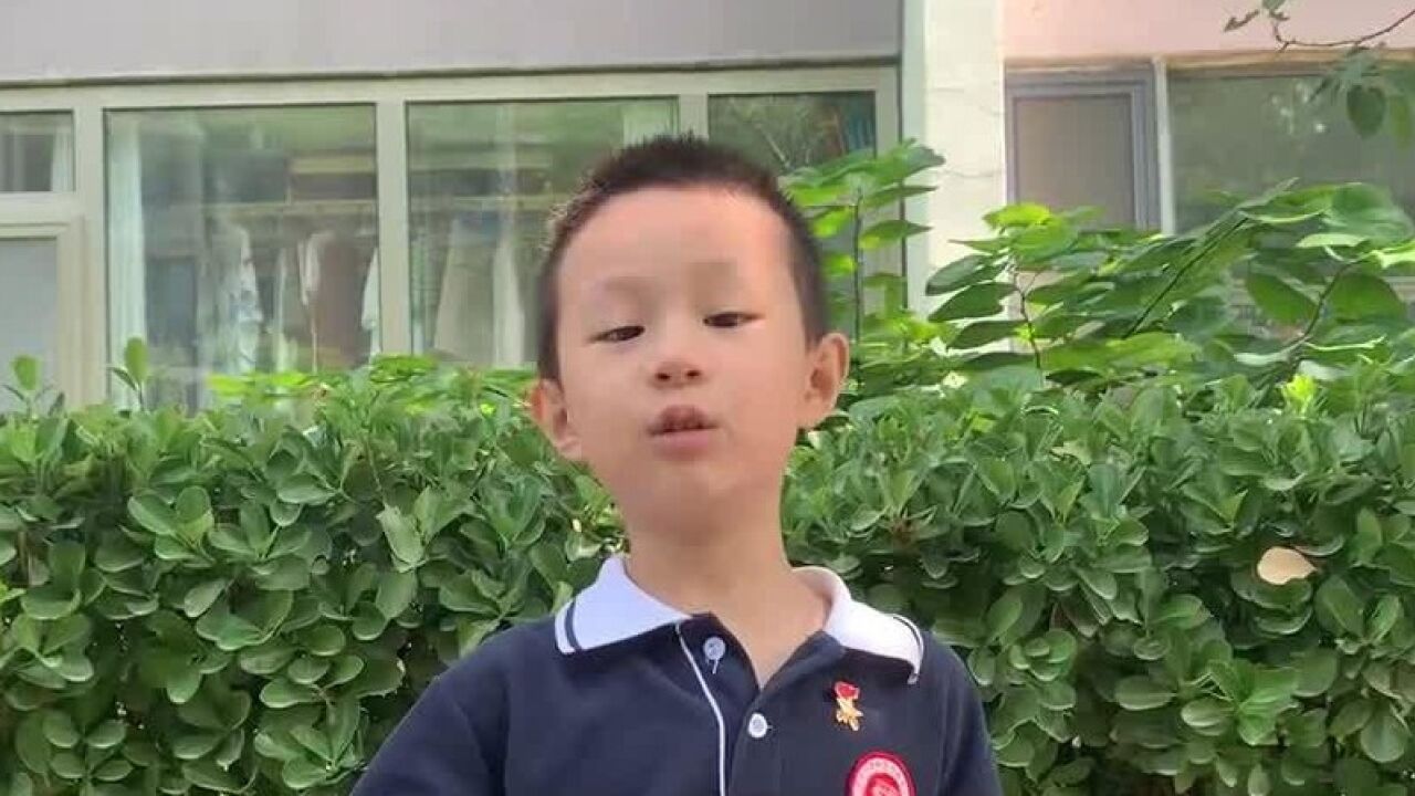 李晨旭长阳中心小学小学组