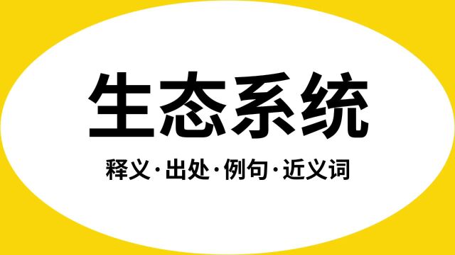 “生态系统”是什么意思?