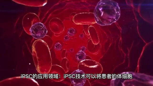 1分钟快速了解iPSC的优势与应用领域