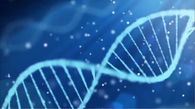 CRISPRCas9:基因编辑的魔法棒,让我们一起改造未来!