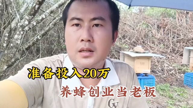 广东阿达学养蜂三个月,准备投入20万养蜂创业当老板,努力加油