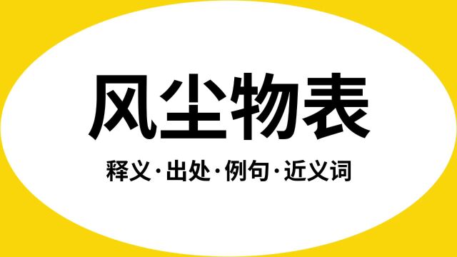 “风尘物表”是什么意思?