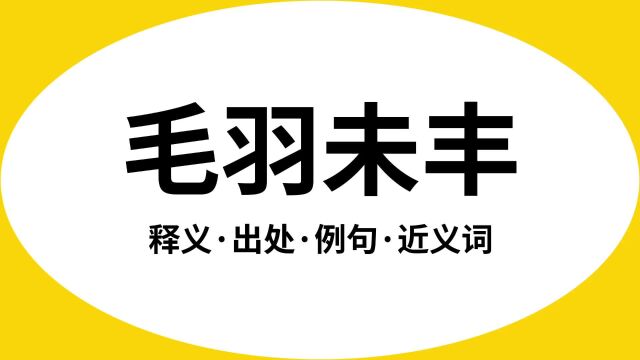 “毛羽未丰”是什么意思?