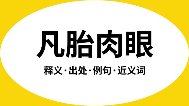 “凡胎肉眼”是什么意思?