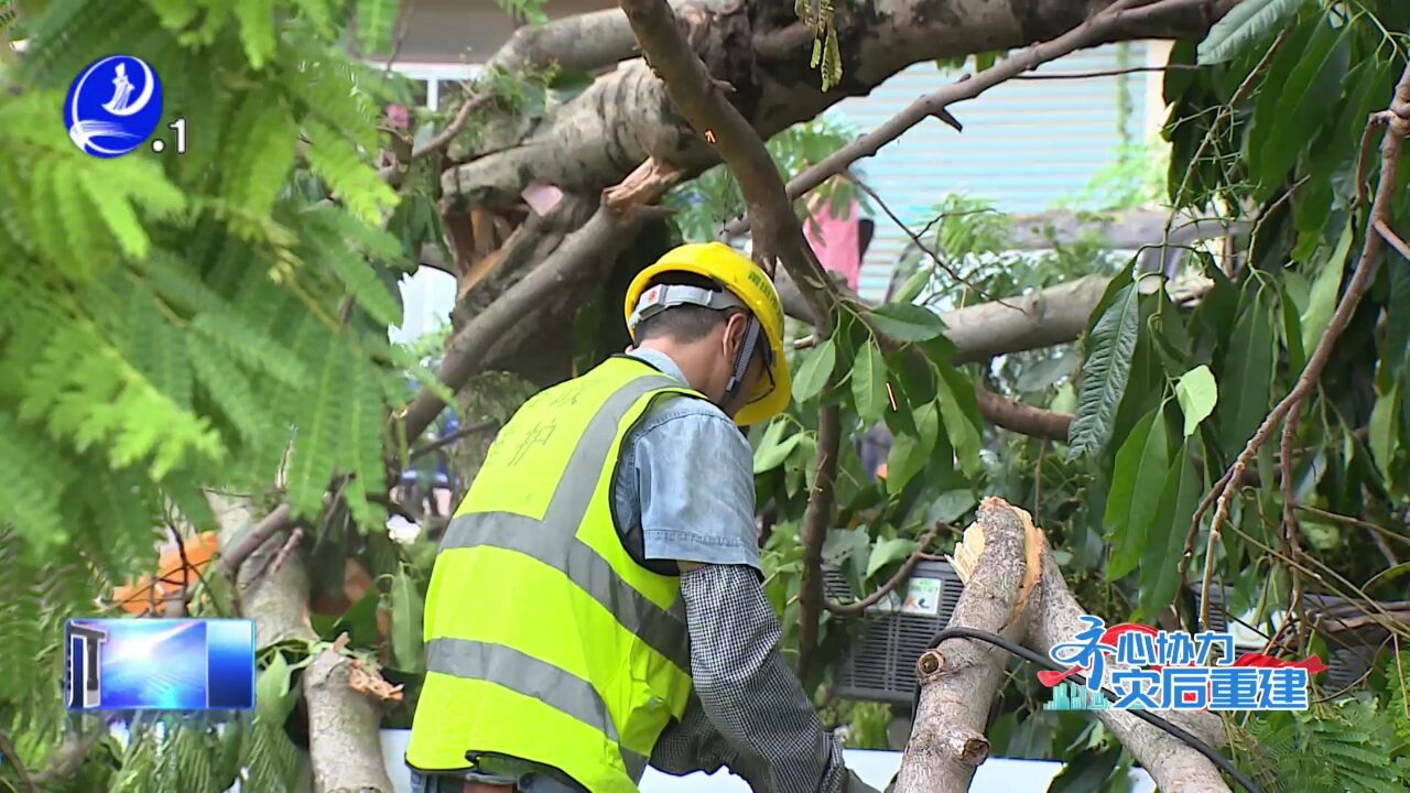 市路灯管理处:争分夺秒 做好台风灾后修复工作