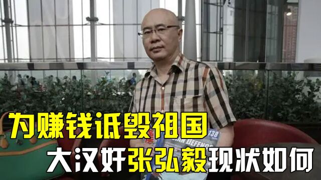 中国最大汉奸张弘毅,建议美国“误击”中国军舰,他现状如何