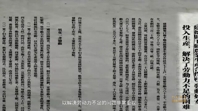 档案里的初心故事:妇女能顶半边天——建德千鹤的“她”力量