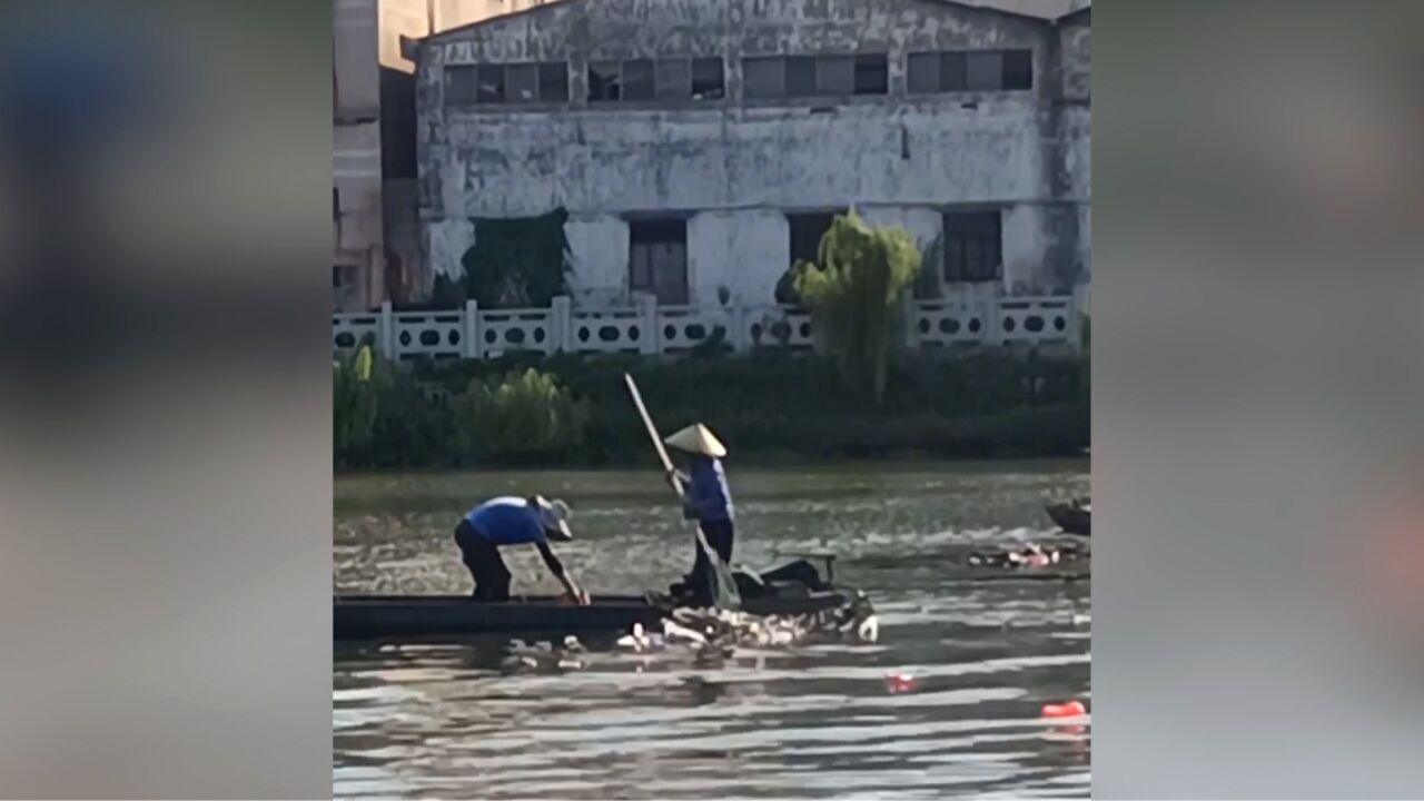 网曝中山环卫工组团将垃圾倒进河里,水利所:正在核实处理