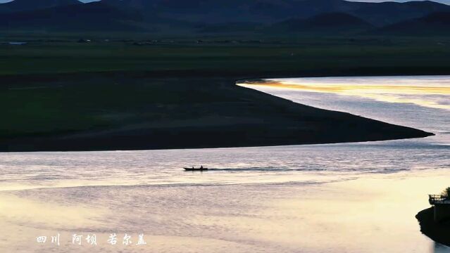 旅游四川ⷮŠ若尔盖 | 黄河九曲畔 万亩花田星海灿