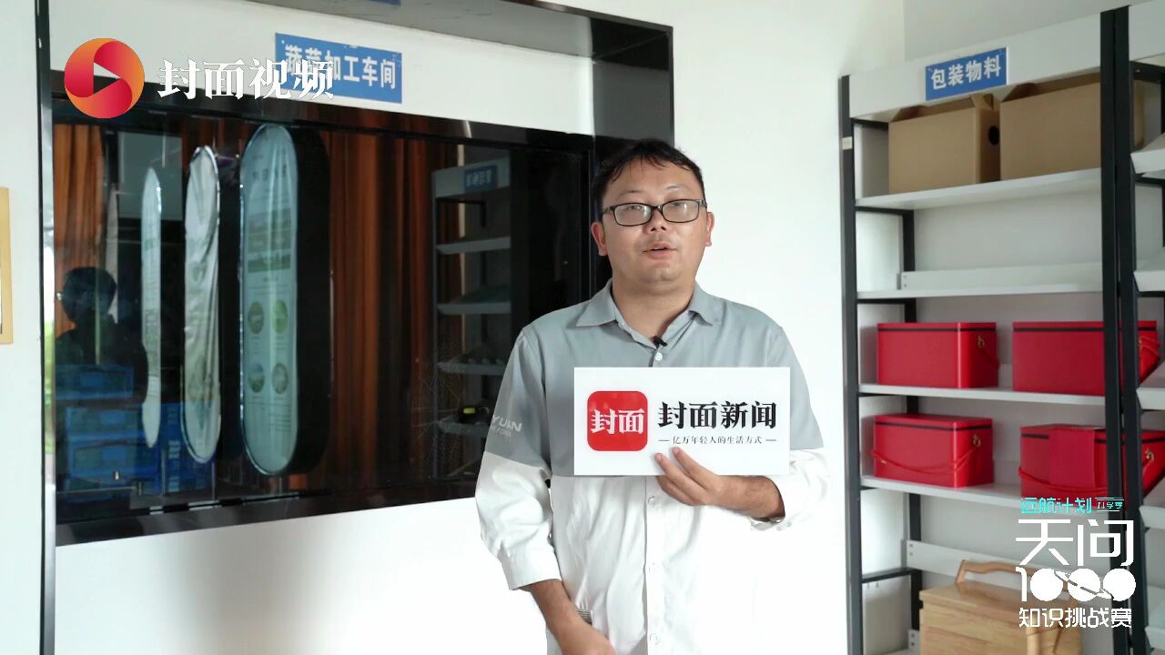 现代农业产业园里如何“种菜”?|打卡④天问1000