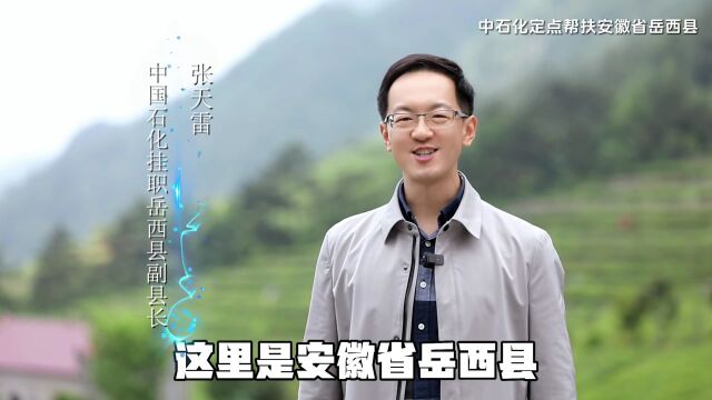 “岳西翠兰”宣传片登陆全国高铁电视