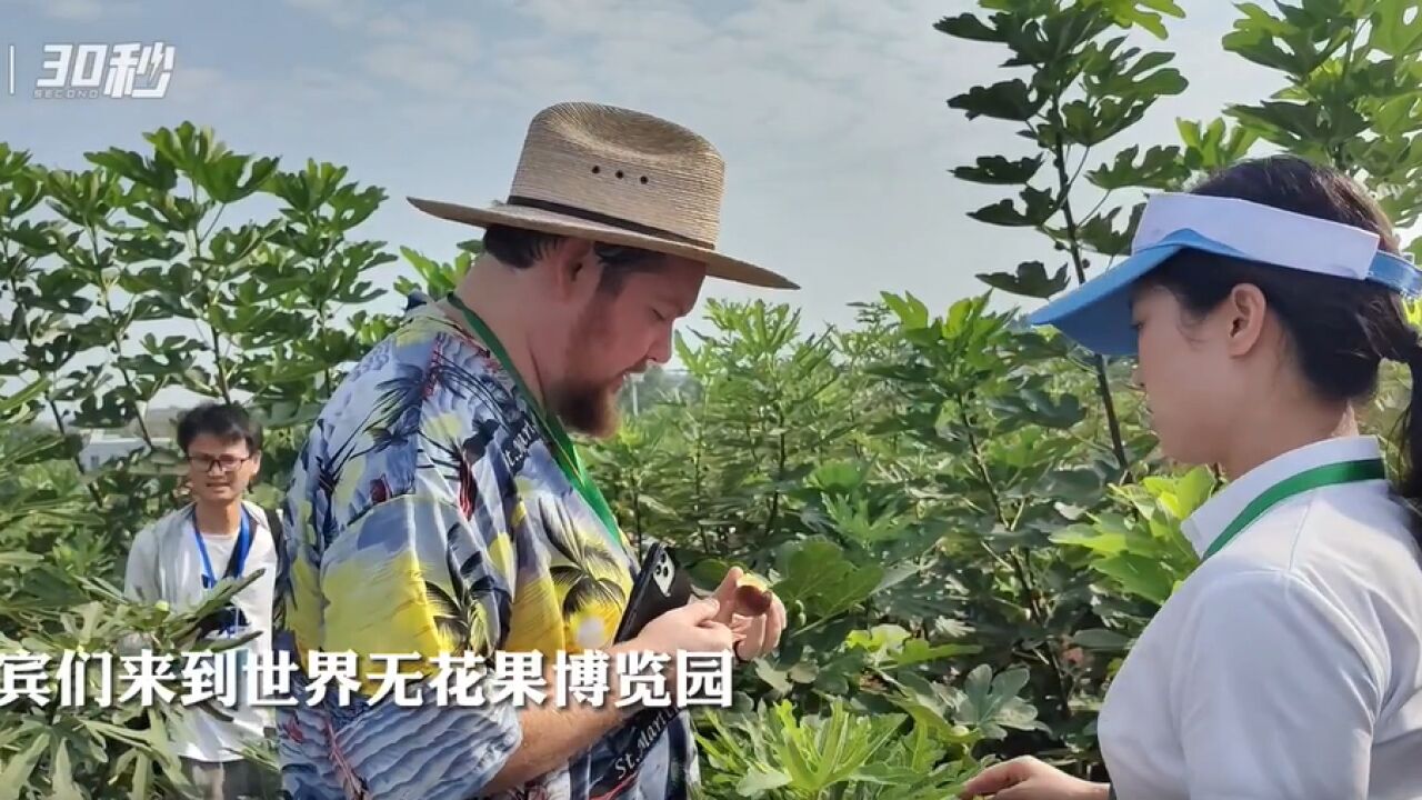 走进世界无花果博览园 “像蜜一样甜”的无花果征服嘉宾味蕾