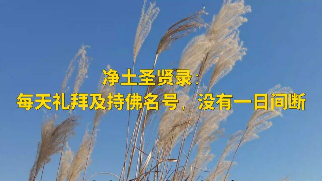 净土圣贤录:每天礼拜及持佛名号,没有一日间断