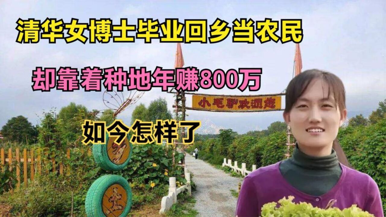 清华女博士毕业回乡当农民,却靠着种地年赚800万,如今她怎样了