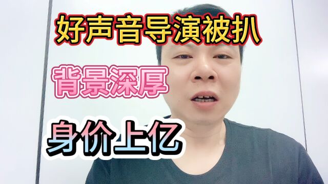 好声音导演被扒背景深厚身价上亿