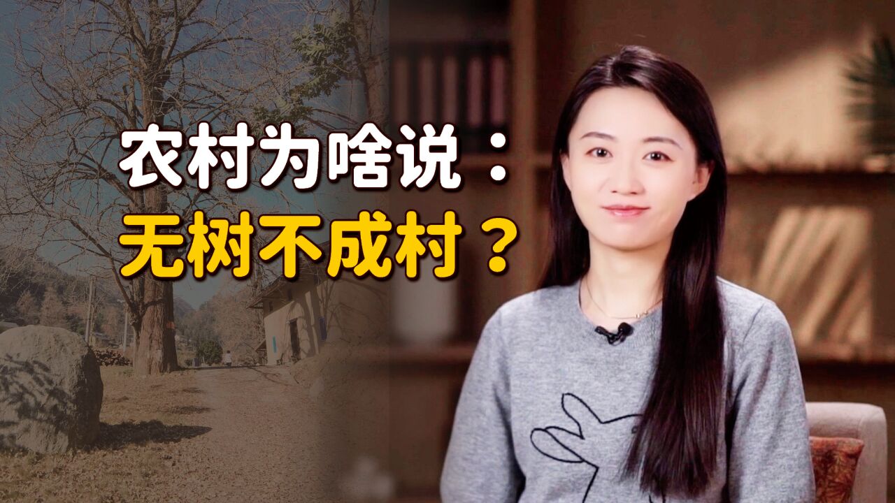 农村老话常说:“无树不成村”,村口的风水树,为何不能砍?