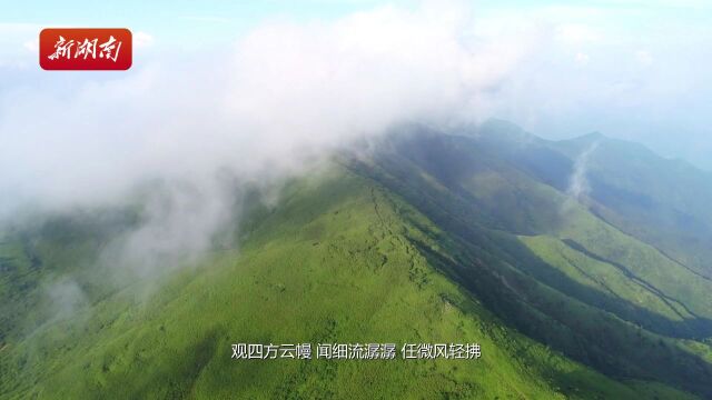 “湘赣红”,红天下 | 炎陵黄桃 桃中翘楚