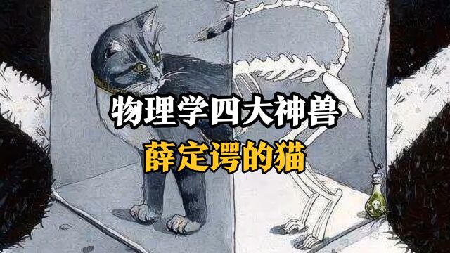 物理学四大神兽之一,薛定谔的猫