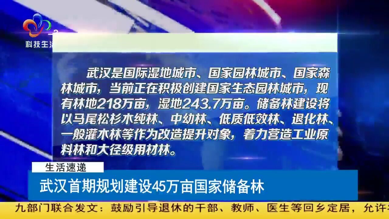 武汉首期规划建设45万亩国家储备林