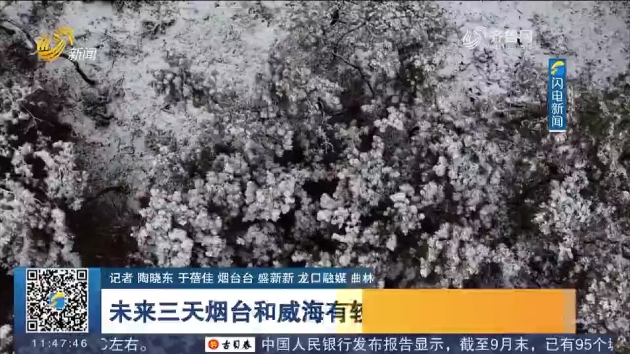 预计未来三天,山东大部地区晴间多云,烟台和威海有较明显降雪