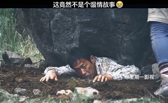 罪与爱 这竟然不是个温情故事 #不可思议 #意想不到的结局