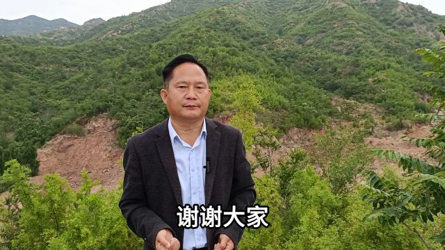 二水洗铧 弘扬国学传统文化