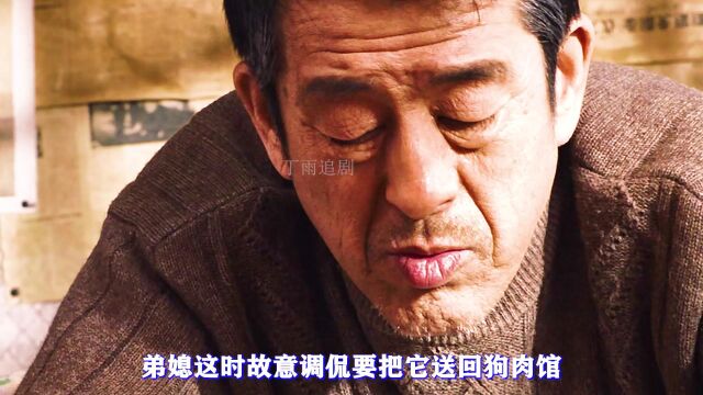 小狗只是帮助瘫痪男人一把,却给男人当了12年车夫