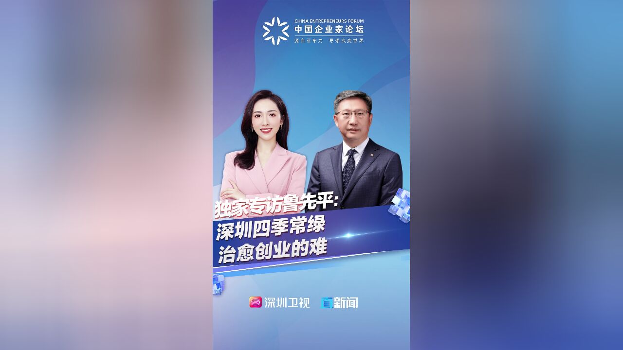 独家专访鲁先平:深圳四季常绿 治愈创业的难