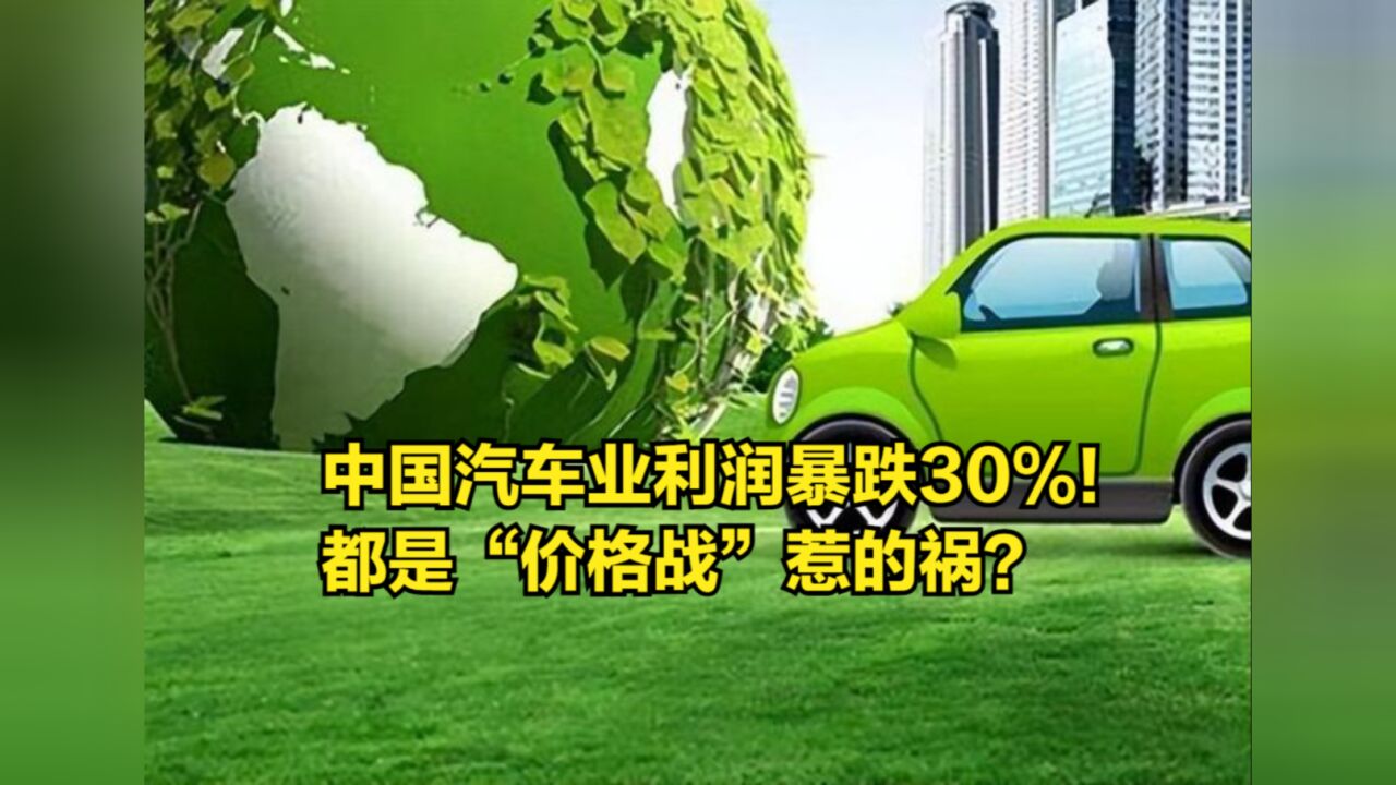 中国汽车业利润暴跌30%!都是“价格战”惹的祸?