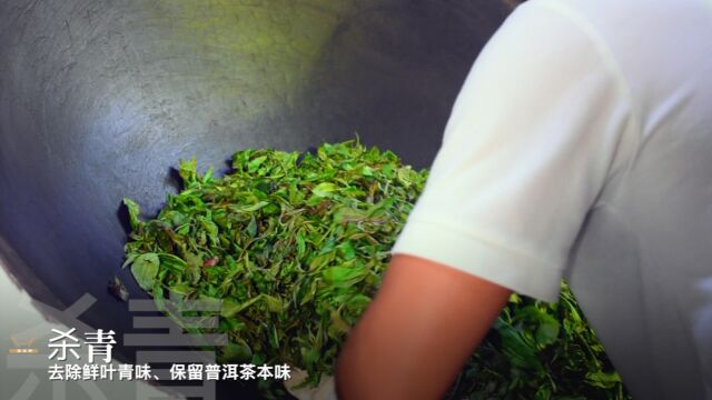 【茶文化】带你25秒快速了解普洱茶制作工艺