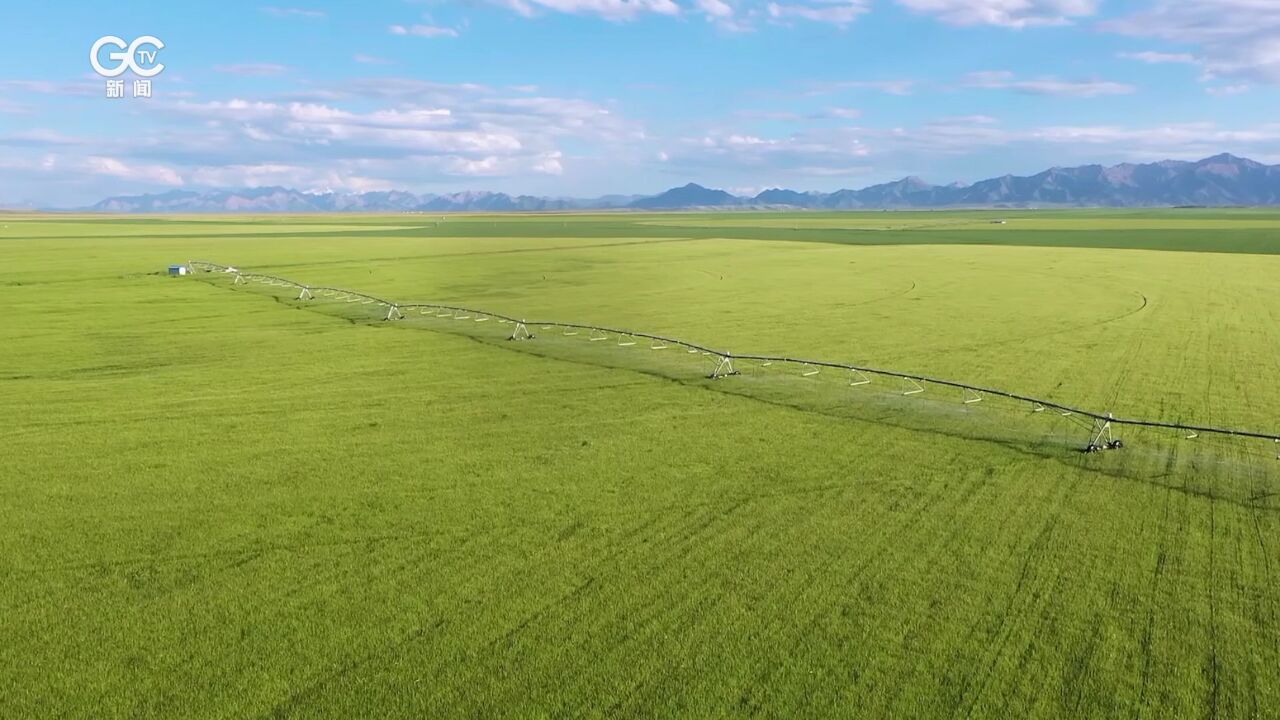 我国明确“其他草地”按照农用地管理