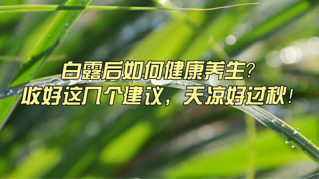 白露后如何养生?收好这几个建议,天凉好过秋!