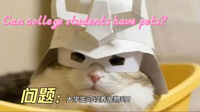 大学生可以养宠物吗?