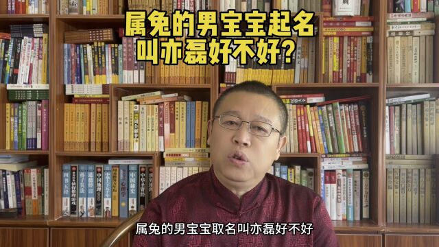 宝宝起名大师秦华,属兔的男孩子取名叫亦磊好不好?