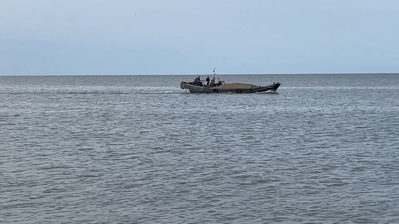 辽宁丹东:永远长不大的“末嘎儿”(蓝贝)海海地上岸!海鹰村渔民捕捞它喂虾