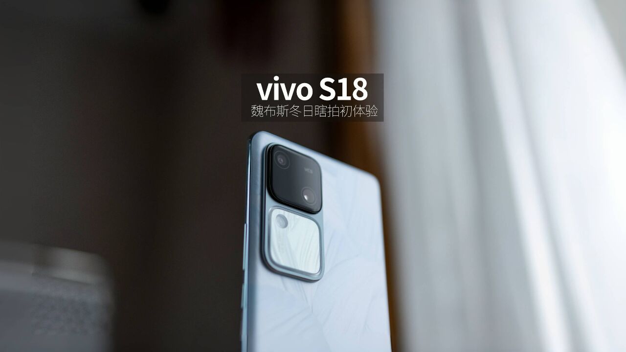 vivo S18 “花似锦”魏布斯户外溜达瞎拍邂逅首富初体验「WEIBUSI 出品」