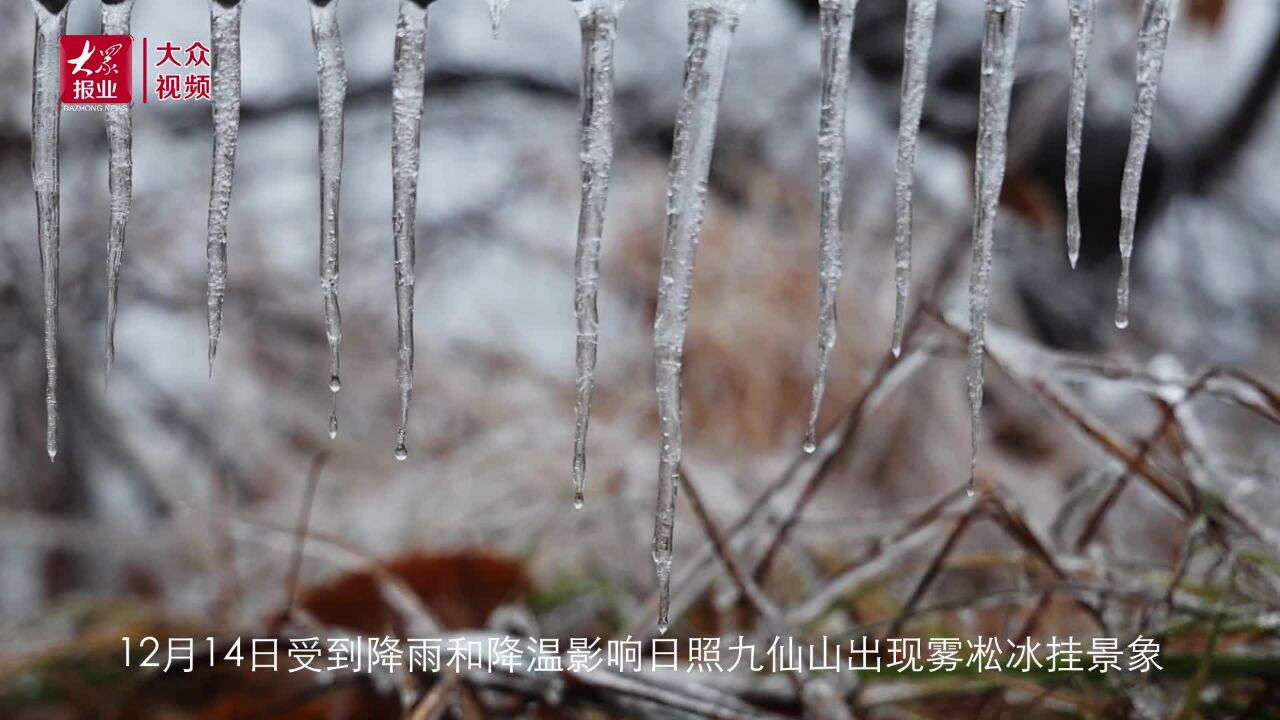 视频丨日照:九仙山冰挂如画