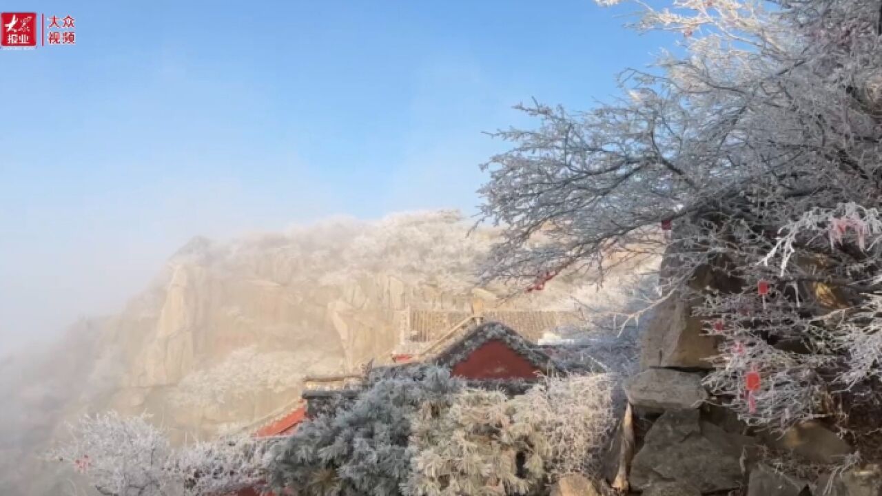 雾?凇?雪?泰山2024年第一场雾凇来了!雪雕玉啄,宛若天上宫阙