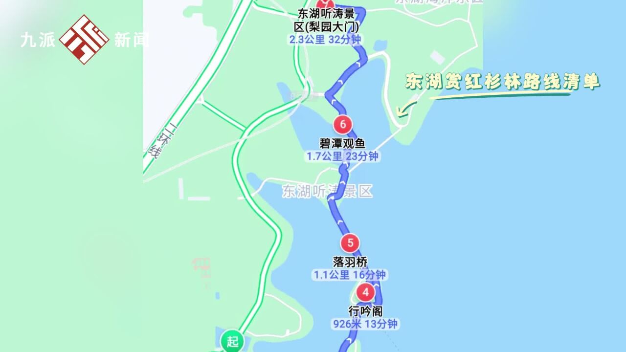 红杉怎么看?超全东湖赏红杉林路线清单