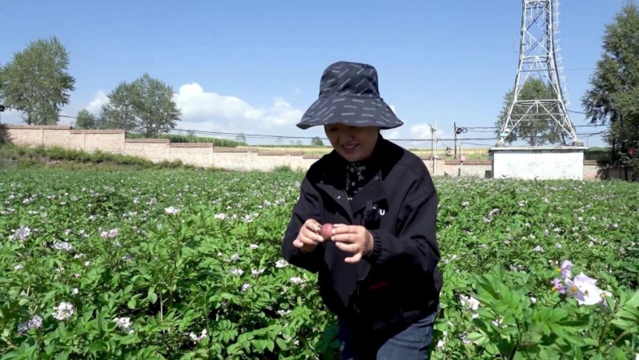 祁玉梅:走进田间,做农民身边的帮手