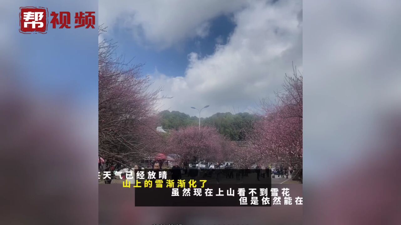 前往林阳禅寺的游客注意了!路上堵堵堵堵堵!请合理安排出行时间