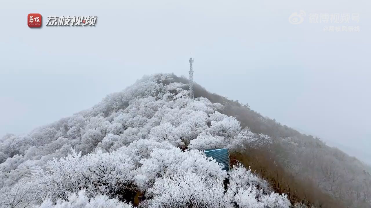 银枝玉挂!南京紫金山现雾凇景观