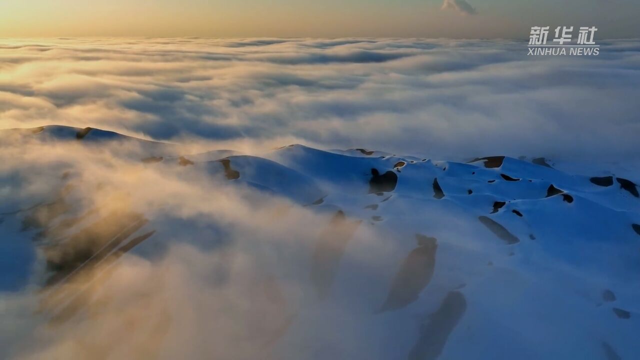 来腾格里沙漠欣赏沙漠与雪的浪漫邂逅