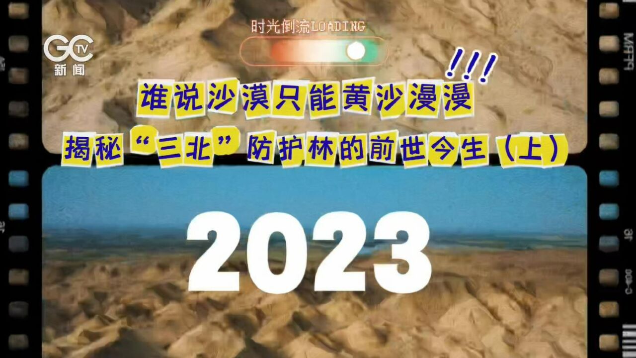 谁说沙漠只能黄沙漫漫?揭秘“三北”防护林的前世今生(上)