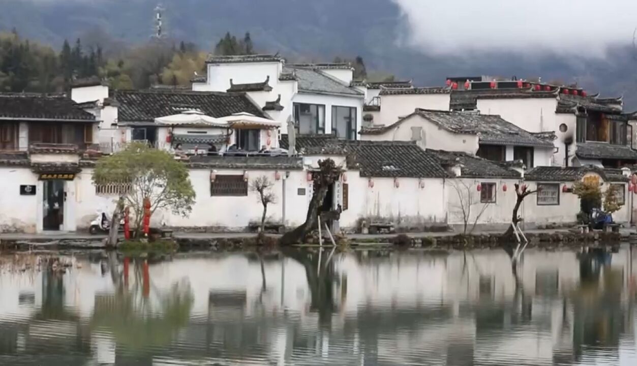 村里来了“洋女婿”,跨国夫妻定居宏村开起披萨店