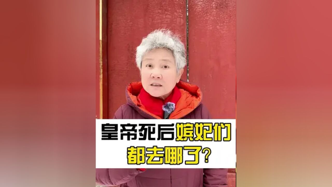 先皇的遗孀们,都怎么安置了?