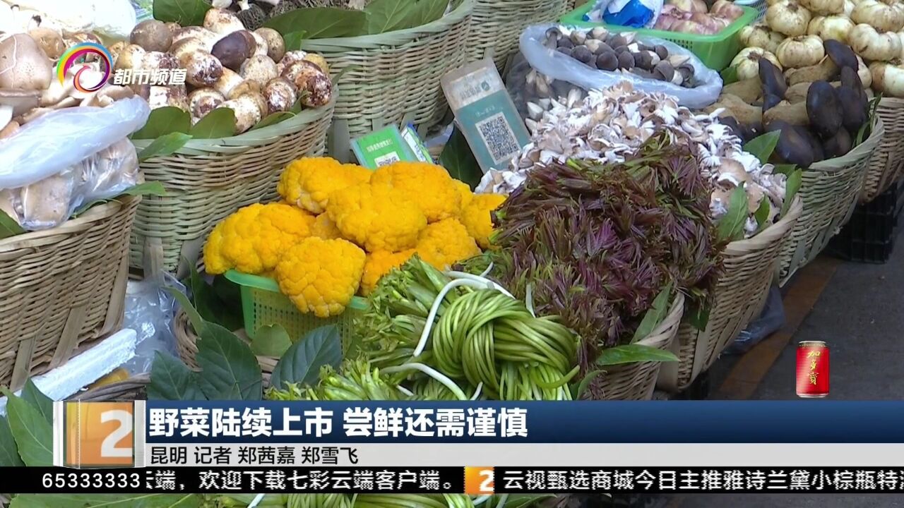 野菜陆续上市 尝鲜还需谨慎