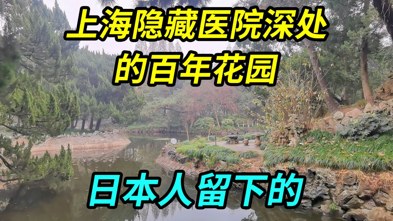 上海隐藏在医院深处的百年花园,日本人留下的,市民为何很少去