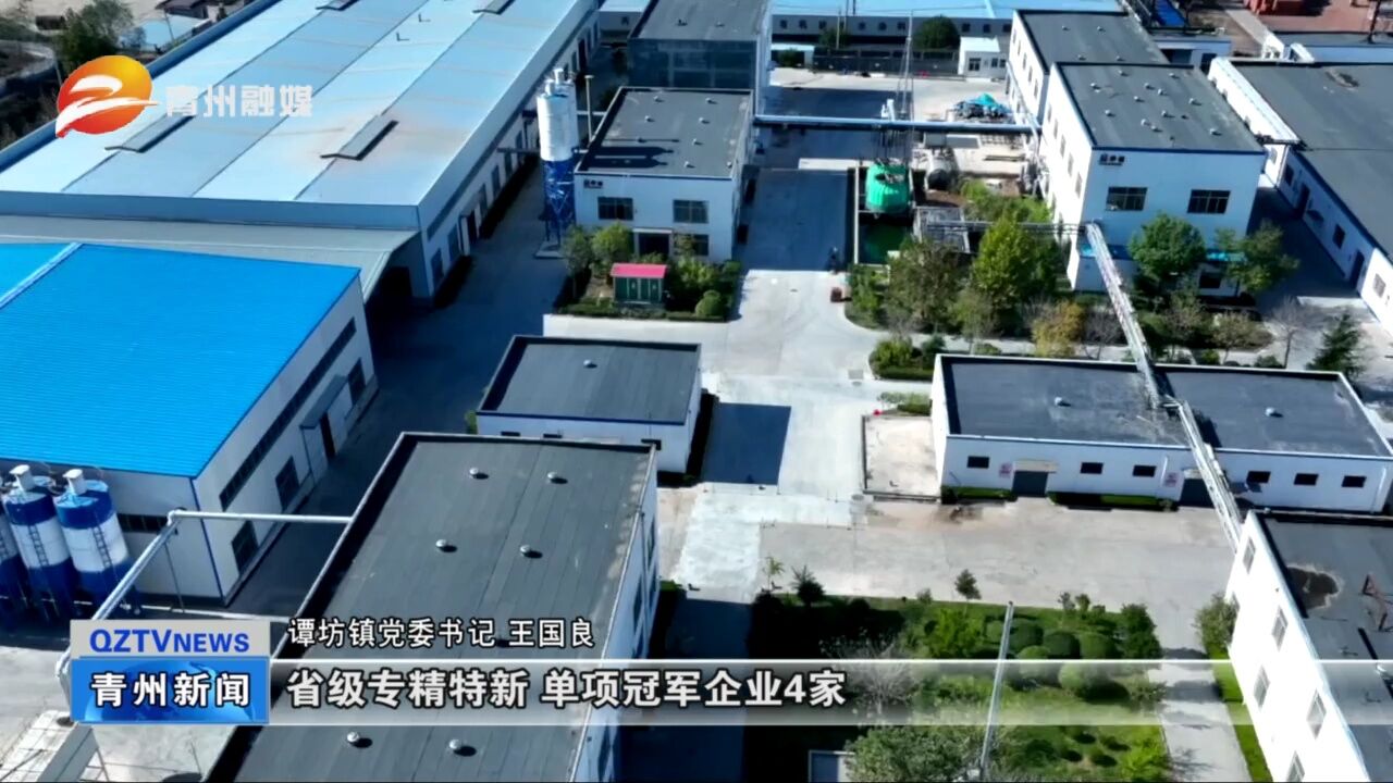 青州市谭坊镇:强作风 抓落实 求突破